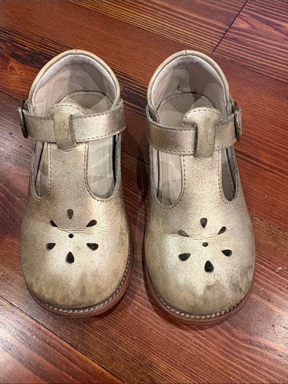Felix & Flora | Gold Toddler Little Girl Mary Jane Dress Shoes | size 9